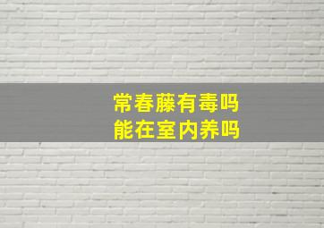 常春藤有毒吗 能在室内养吗